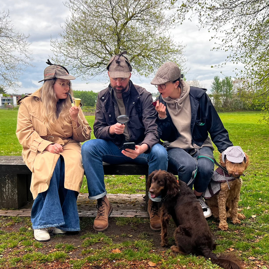 Top 5 things to do in Lincoln